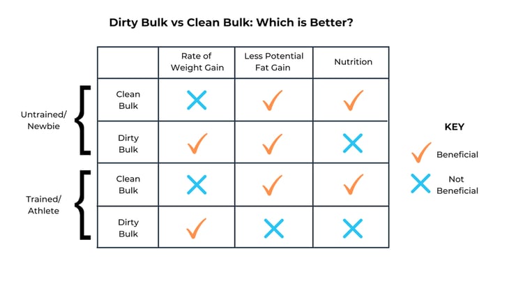 Dirty-Bulk-vs-Clean-Bulk-(1)