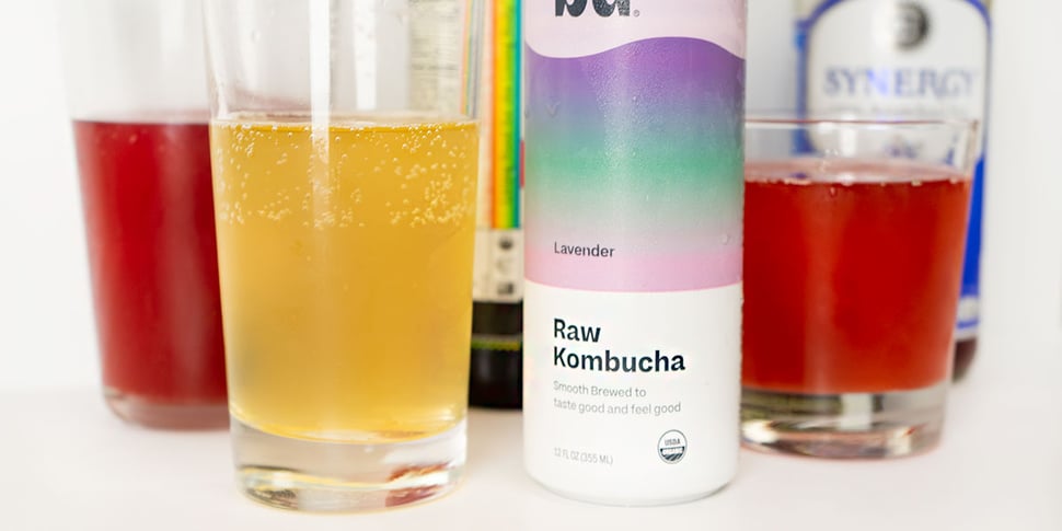 fermented kombucha for gut health 