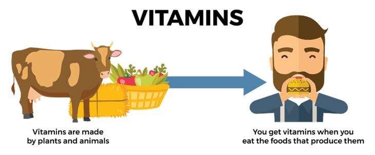 Micro-Nutrient-Blog-Graphics-03-(1)-1