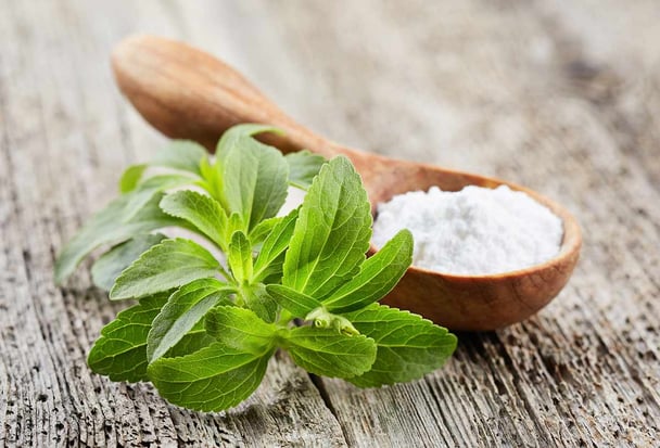 stevia-1